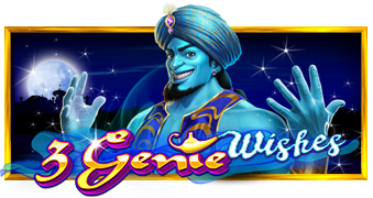 3 Genie Wishes